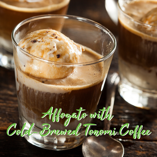 Affogato Afficionado: An Indulgent Escape with Tonomi Dark Roast Cold Brew