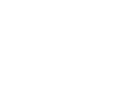 Tonomi Super Foods from Africa logo