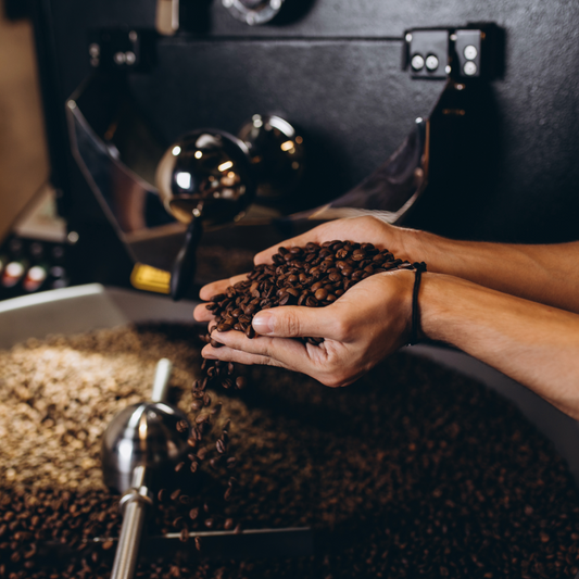 The Aroma of Excellence: Exploring the Spectrum of Roasted Coffee Beans